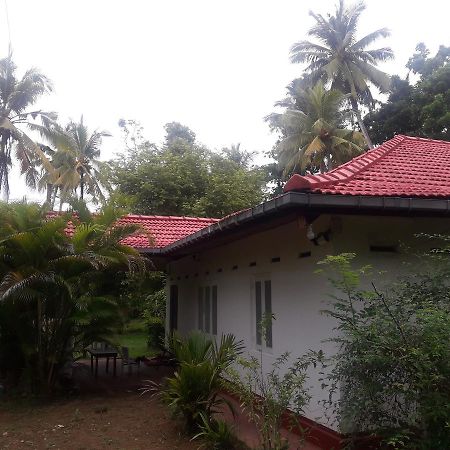 Hotel International Meditation Center Mirissa Exterior foto