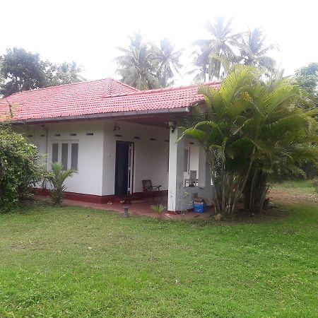 Hotel International Meditation Center Mirissa Exterior foto