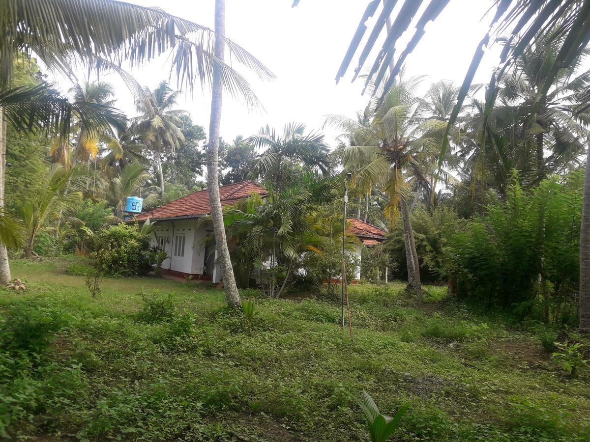 Hotel International Meditation Center Mirissa Exterior foto