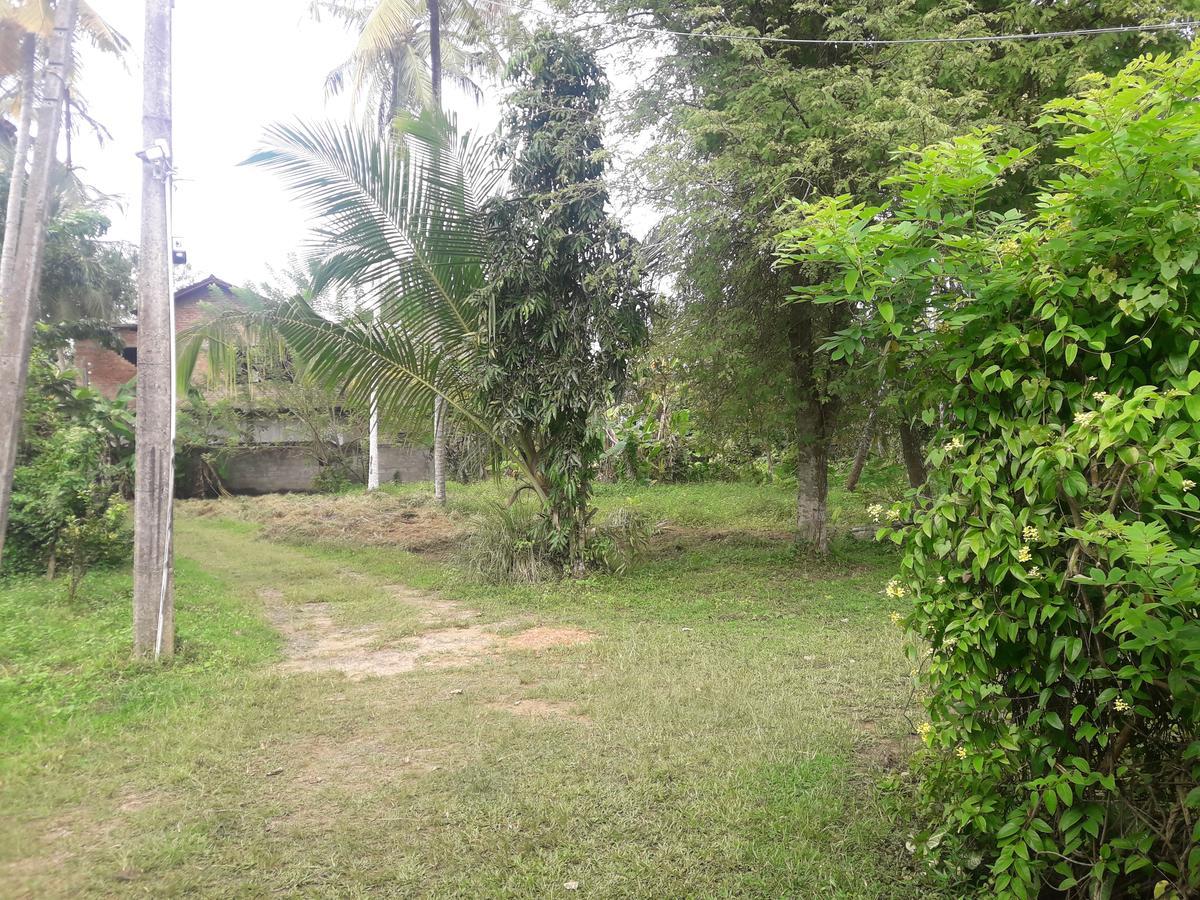 Hotel International Meditation Center Mirissa Exterior foto