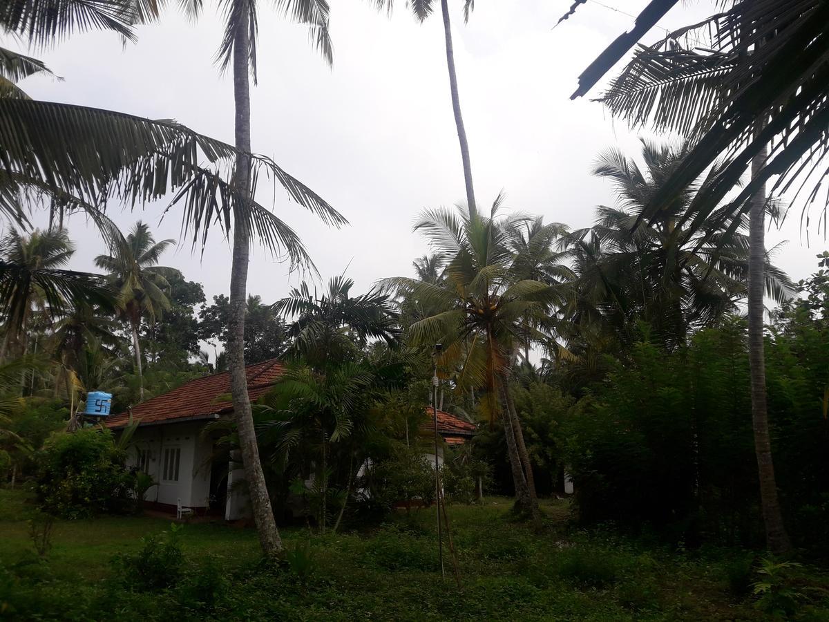 Hotel International Meditation Center Mirissa Exterior foto