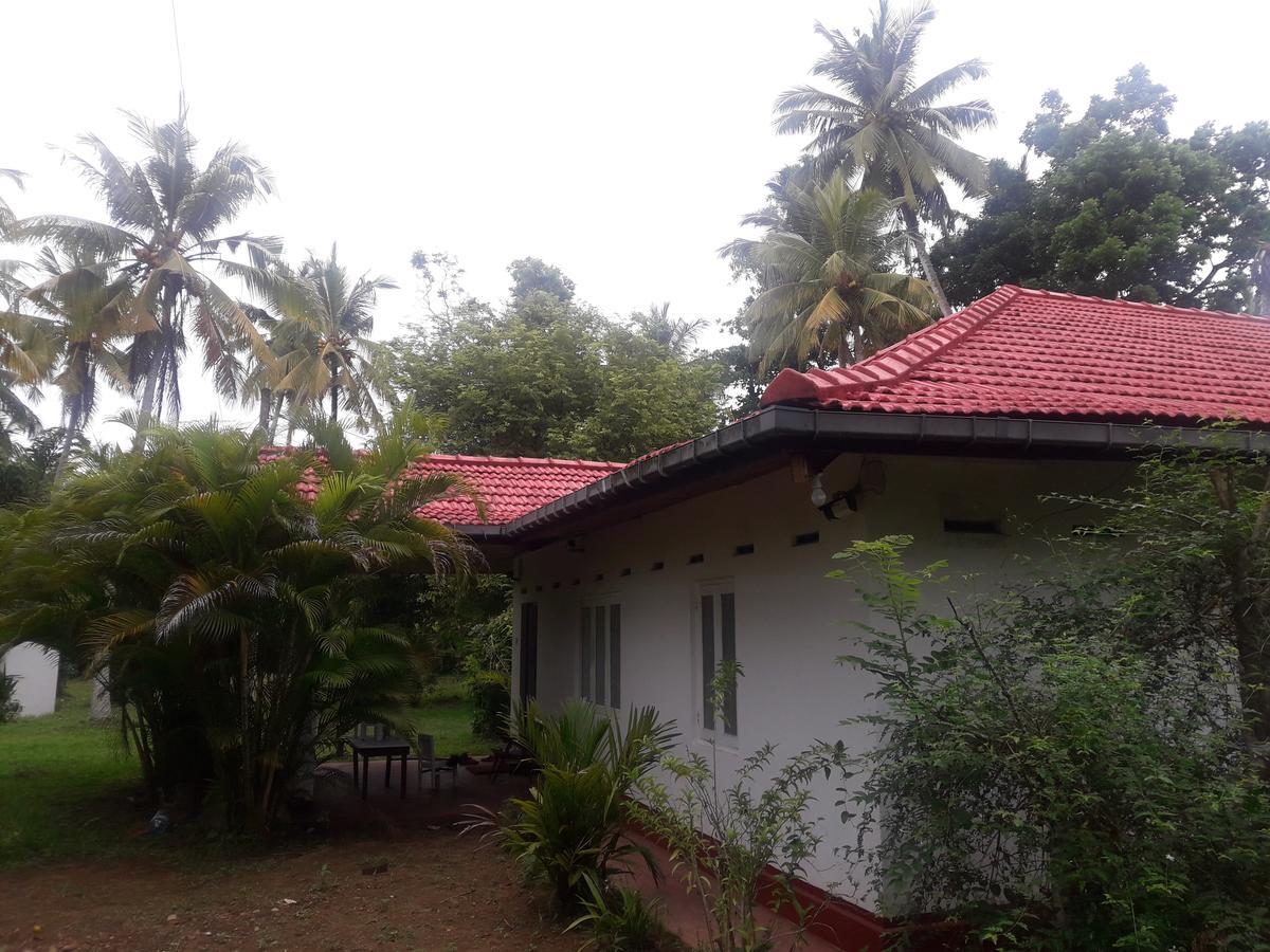 Hotel International Meditation Center Mirissa Exterior foto