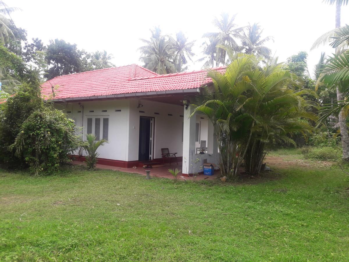 Hotel International Meditation Center Mirissa Exterior foto