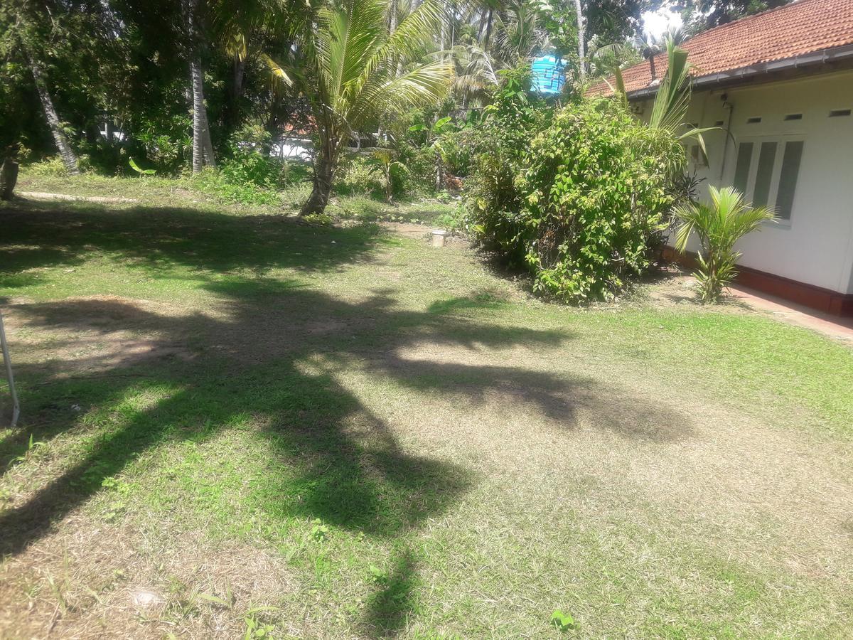 Hotel International Meditation Center Mirissa Exterior foto